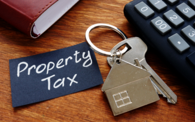 Understanding Property Tax Protests: Navigating the Process and Resources